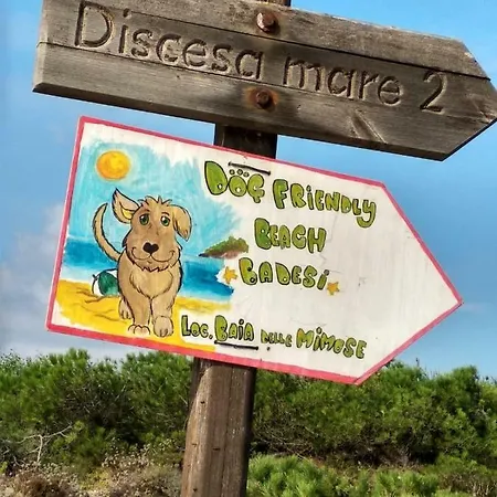 Casa vacanze Grazioso Bilocale Con Veranda